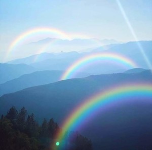 Stimuleer de wijkeconomie