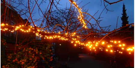 Winter nieuwsbrief 2020 BEL