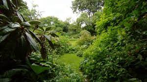 Inventarisatie parkeerproblemen, autoschades, verkeer