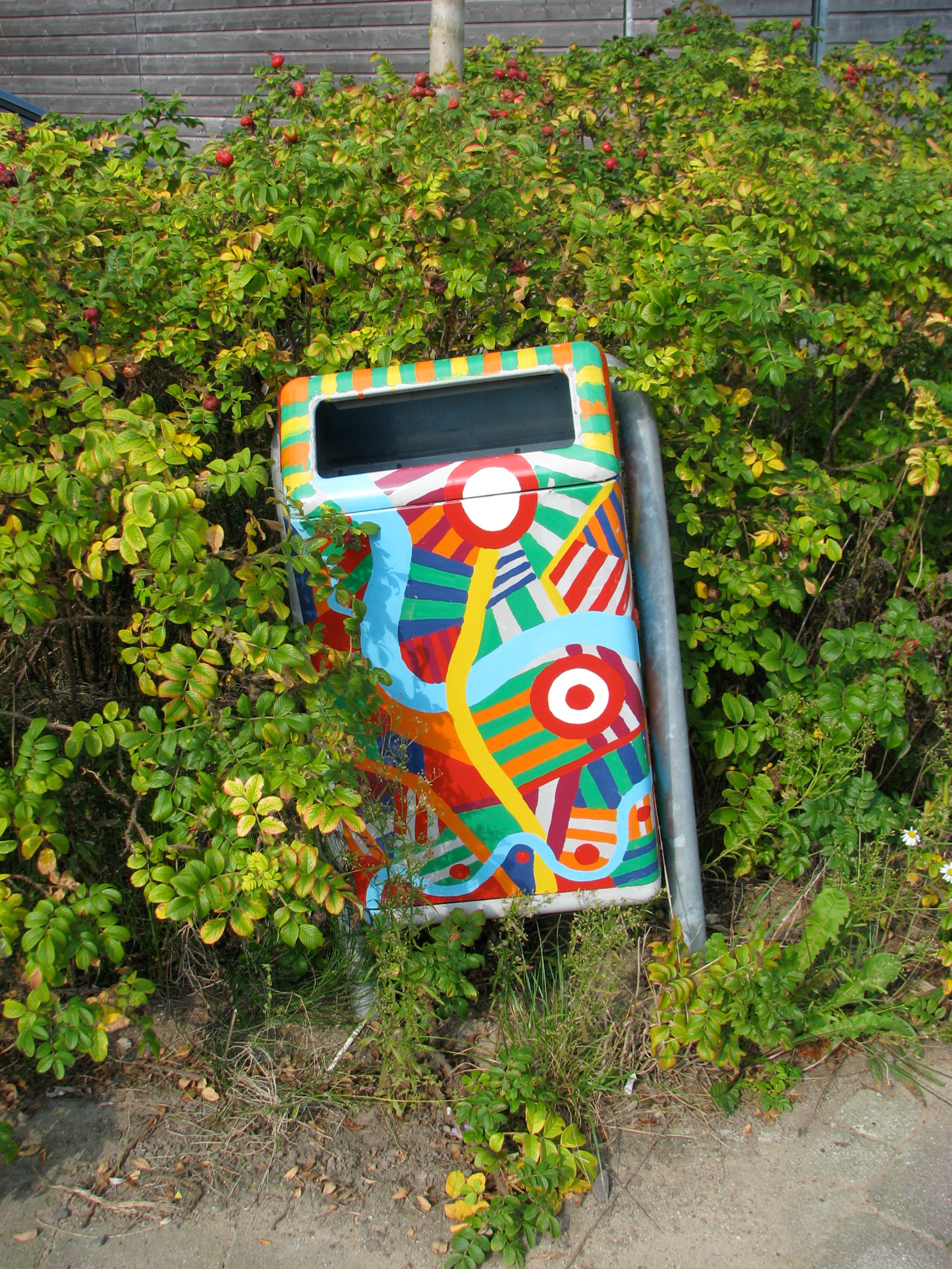 Zwerfvuilproject ORS Lek en Linge