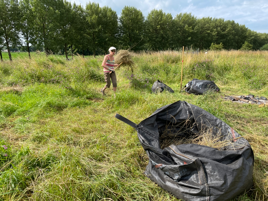 Zaterdag 2 juli Zomers Hooien