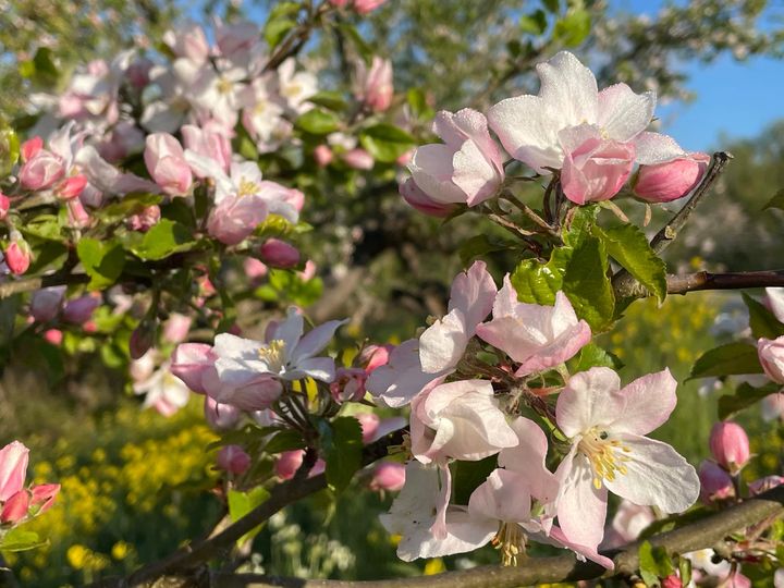 Opknapbeurt wijkpark – kom helpen