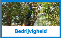 Bedrijvigheid in eigen wijk