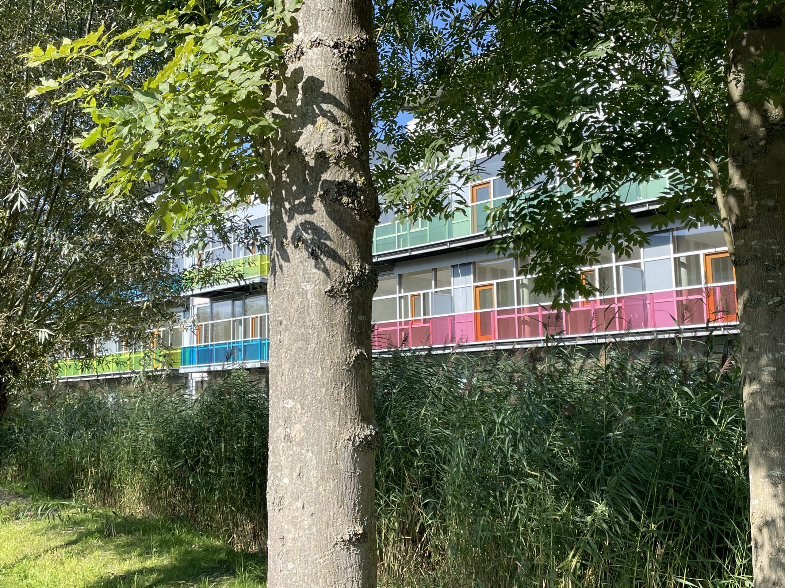 Panta Rhei woningen bijna klaar